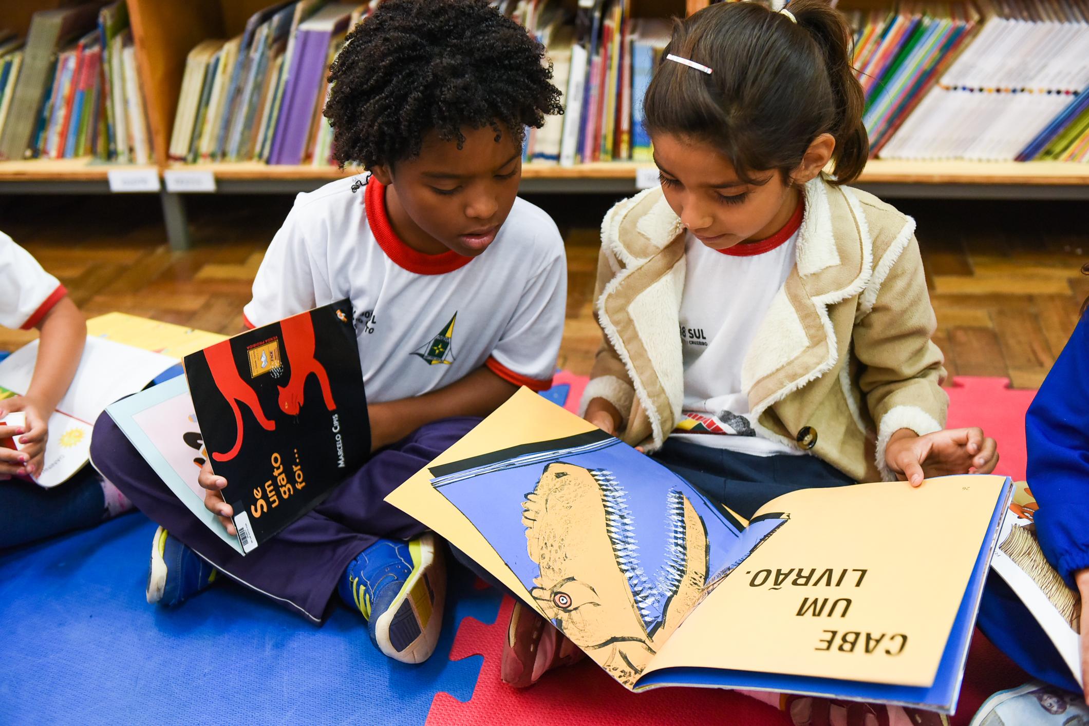 Pós-Graduação em Ludopedagogia e Literatura na Educação Infantil e Anos Iniciais